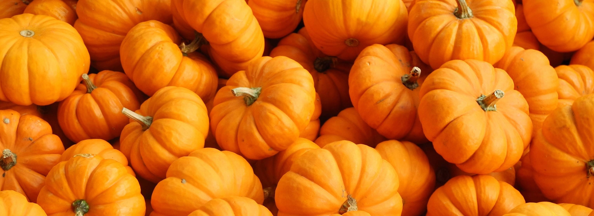 citrouilles