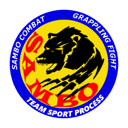 TEAM SPORT PROCESS