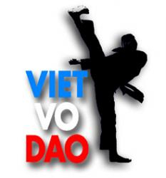 Association de sport et de culture du Vietnam - Viêt vo dao