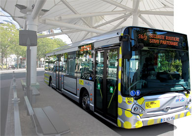 Bus Stivo