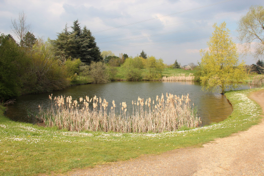 point d'eau du golf