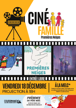 Affiche ciné famille décembre