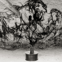 24 heures de l'Art 2015