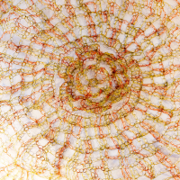 24 heures de l'Art 2015