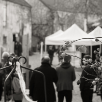24 heures de l'Art 2015