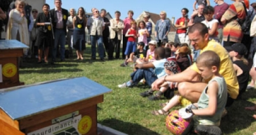 Participation à la préservation des abeilles et de la biodiversité